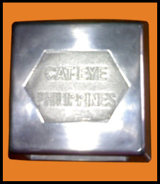 Traffic Signal Builders, Inc. Products Cat Eye